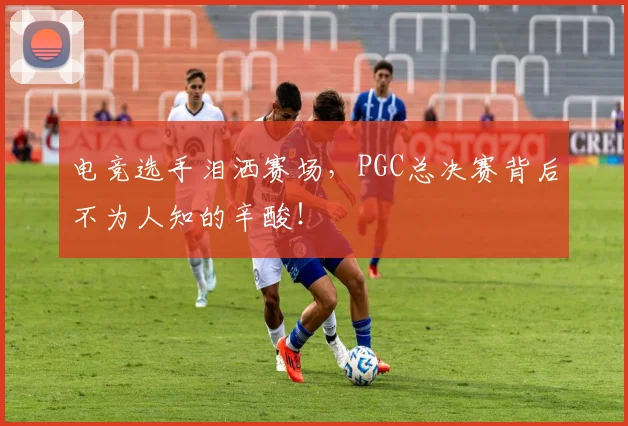 电竞选手泪洒赛场，PGC总决赛背后不为人知的辛酸！